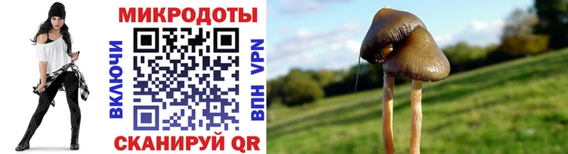 Галлюциногенные грибы мухоморы  Заречный 